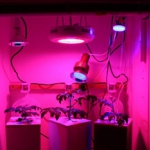 Led grow light - Интернет-магазин светотехники Тепличное освещение